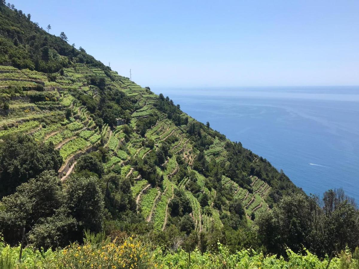 Sergiohome La Spezia Bagian luar foto